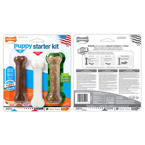 Nylabone New Puppy Starter Kit, 5 Chew Toys and 1 Natural Treat for Puppies, Multi Color, Bacon & Chicken Flavor, Small Dogs - Up to 25 lbs., 6 Pack - color: Bundle