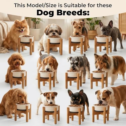 Dog Bowl Stand - Raise, Elevate Bowls to 9-inch High - Adjustable, Fits 6 up to 8-inch Medium Dog Food/Water Feeders, Dishes and Fountains - Durable Bamboo - color: Bamboo, size: For Medium Dogs - 9 inch Height