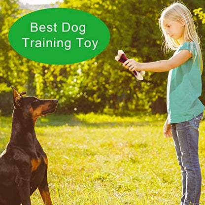 Dog Chew Toys for Aggressive Chewers - Indestructible Nylon Puppy Bone Tough Teething & Calming for Large Medium Breeds(10lbs-70lbs) Birthday Gift Christmas (1 Pack, Beef)
