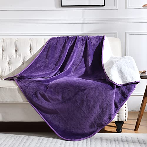 Waterproof Blanket for Bed Couch Sofa, Soft Liquid Pee Proof Pet Blanket for Dog Puppy Cat, Reversible Sherpa Fleece Furniture Protector (Dark Purple, 60x80 inches) - color: Dark Purple, size: 60x80 inches