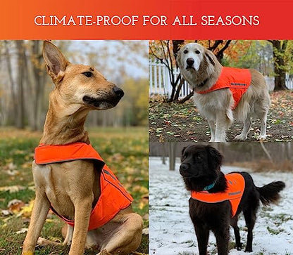 SPOT THE DOG! Reflective Dog Vest - High Visibility Safety Dog Accessories, Fluorescent Dog Apparel for Walking, Hiking & Camping, Hunting (Blaze Orange, Small) - size: Small