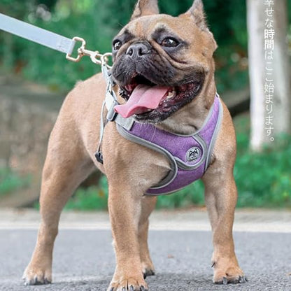 Medium Dog Harness and Leash Set,No Pull Adjustable Step in Soft Mesh Vest Harness,Easy Walk Reflective Pet Harness with Padded Handle for Walking Training Small Medium Large Dogs and Cats (Purple, M) - color: Purple, size: M