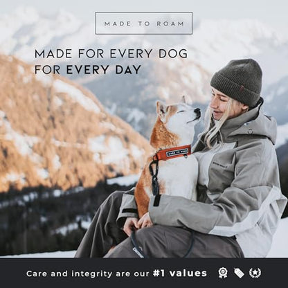 MADE TO ROAM Premium Everyday Dog Collar - Martingale Style No Pull Vegan Leather Collar, Heavy Duty and Lightweight for Small, Medium, Large Dogs (Arizona Heartbeat, Size 2) - color: Arizona Heartbeat, size: Size 2