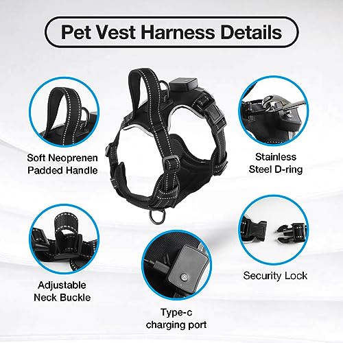 Light Up Dog Harness - No Pull LED Dog Harness Rechargeable, Glow Vest for Night Walking, Fits Small Medium & Large Dogs - color: Black-Blue, size: L