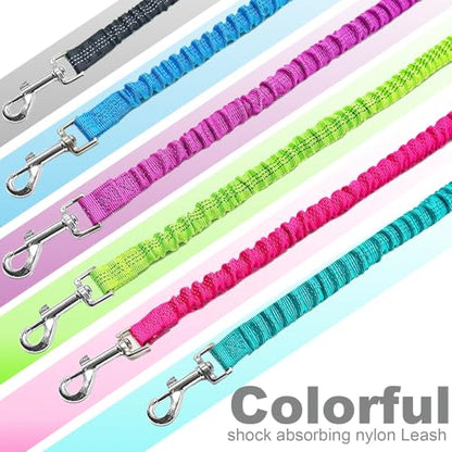 Bungee Dog Leash- 5FT Shock Absorbing & Reflective Nylon Leash | Anti-Pull Training for Small/Medium Dogs | 2cm Wide, 6 Colors (Teal) - color: Teal