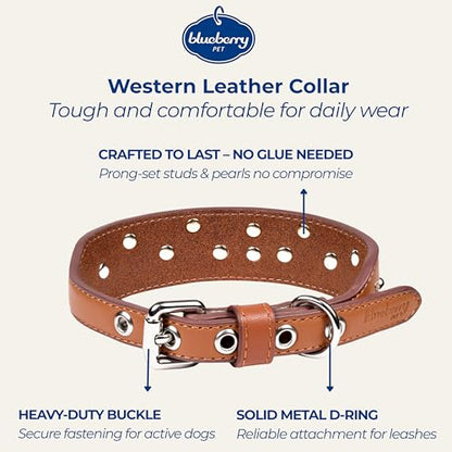 Blueberry Pet Western Dog Collar in Canyon Brown - 12-15 Inch Necks Floral-Embroidered Leather with Turquoise Studs, Adjustable - color: Canyon Brown, size: Small