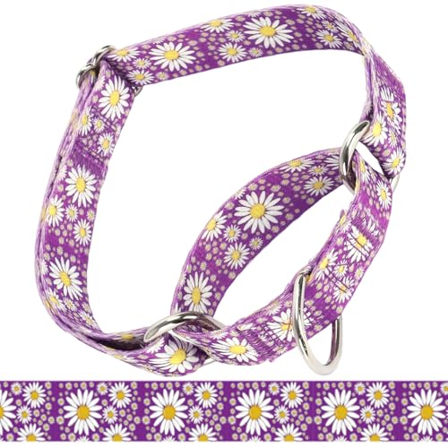 Purple Martingale Collar for Dogs, Adjustable Soft Nylon No Slip No Pull Training Collar, Durable Escape Proof Cinch Collar for Small Medium Large Dogs (Purple, L (Neck 18"-21")) - color: Purple, size: L (Neck 18"-21")