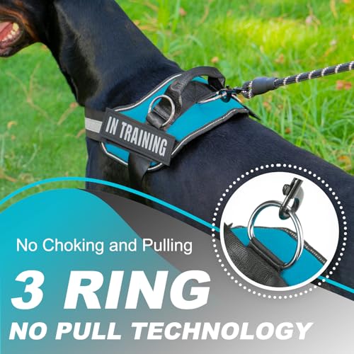 JUSTYEZI Essential Dog Harness with 3 Leash Clips - No-Pull, Adjustable, Comfortable Pet Vest Harness for Small to Large Dogs - Easy On, No Choke, Reflective, Padded Harness for Walking and Training