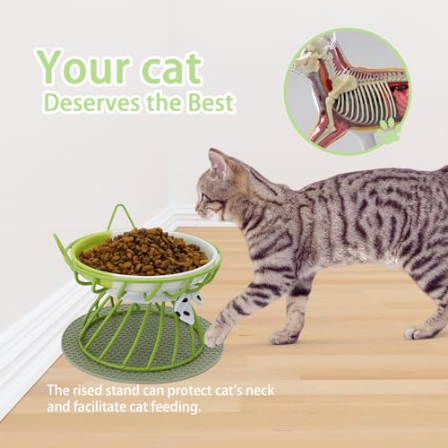 Tilted Elevated Cat Bowl, Food & Water Cat Bowl， Ceramic Pet Food Bowl for Flat Faced Cats, Protect Pet's Spine, Dishwasher Safe - color: Green