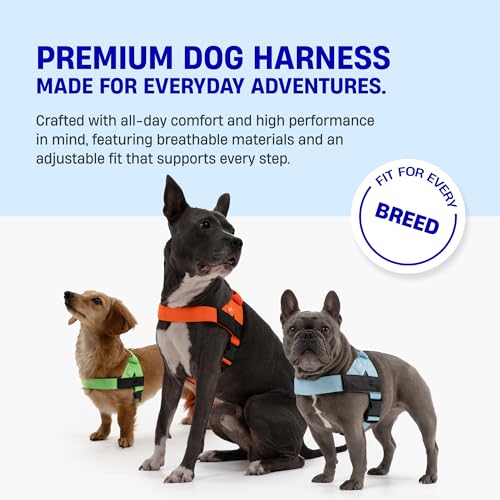 Dog Friendly Co. Dog Harness | Chafe Resistant Webbing, Adjustable Neck & Chest, and Heavy Duty D-Ring | Sturdy, Comfortable, Easy to Use | Brown, Size L - color: Brown, size: Large