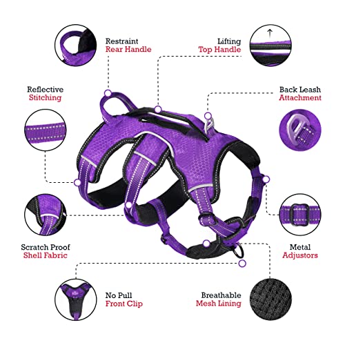 Tuff Pupper Escape Proof No Escape Dog Harness | 5 Point Adjustable Fit Harness for Dogs | Padded Dog Harnesses | Handle Dog Lift Harnesses - color: Purple, size: Medium
