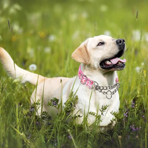 Reflective Martingale Dog Collar with Soft Padded,Adjustable Heavy Duty Choke Steel Chain Big Dog Training, Walking, Hunting Collar for All Breeds (Pink Flowers M) - color: 2, size: M(Neck12"-17")