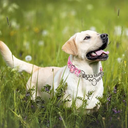 Reflective Martingale Dog Collar with Soft Padded,Adjustable Heavy Duty Choke Steel Chain Big Dog Training, Walking, Hunting Collar for All Breeds (Pink Flowers M) - color: 2, size: M(Neck12"-17")