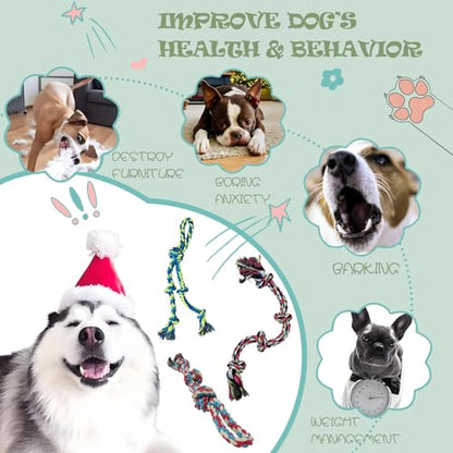 3-Pack Heavy Duty Dog Rope Toy, Tough Chew Toys, Durable Interactive Tug of War &Teeth Cleaning Ropes for Large and Medium Aggressive Chewers (3-Pack, Large) - size: Large