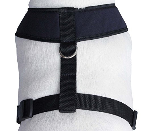 Dogs My Love Soft Vest Harness for Dogs and Puppies 6 Sizes Blue (XXL (Neck Max: 20"; Chest Girth: 26"-31")) - size: XXL (Neck Max: 20"; Chest Girth: 26"-31")