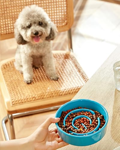 Ceramic Slow Feeder Dog Bowls, 0.6 Cup Slow Feeder for Small Dogs, Puzzle Maze Bowl, Prevents Choking, 6in, Blue - color: Blue, size: 6 Inches