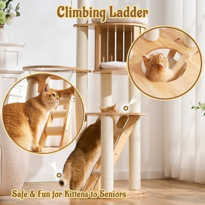 Modern Cat Tree Tower with Scratching Post, 61.5in Tall Cat Tree for Indoor Cats, Multi-Level Solid Wood Cat Furniture with Ladder, Cozy Cat Beds, Cat Condo, Capsule Nest, Dangling Toy, Natural - color: 61.5"Natural