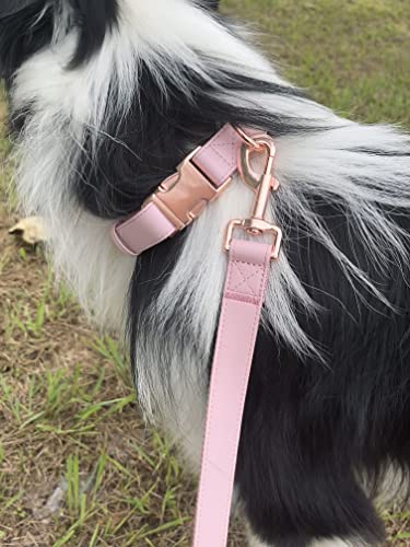 Dog Collar and Leash Set.Soft and Easy to Clean Vegan Leather with Rose Gold Metal Buckle for Small Medium Large Dogs (Pink, XS(8"-12")) - color: Pink, size: XS