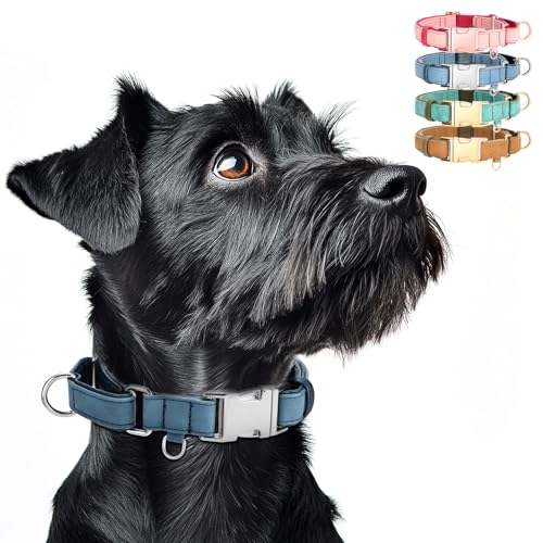 WHIPPY Vegan Leather Dog Collar No Slip Martingale Dog Collar with Quick Release Metal Buckle for Large Medium Small Dogs,Blue - color: blue, size: M:Fit 13-16" Neck