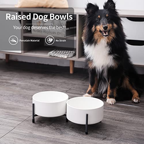 32 oz Ceramic Dog Cat Bowl Set of 2 with Elevated Metal Stand - 6 Inch Ceramic Round Pet Food and Water Feeder Bowl Dish for Cats & Dogs - White