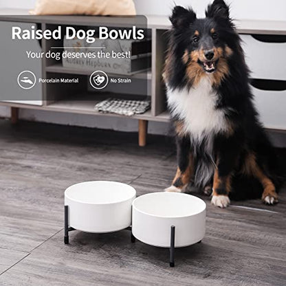 32 oz Ceramic Dog Cat Bowl Set of 2 with Elevated Metal Stand - 6 Inch Ceramic Round Pet Food and Water Feeder Bowl Dish for Cats & Dogs - White