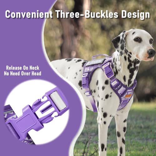 AUNZO Dog Vest Harness with 2 Patches, No Pull Dog Harness for Walking Training Hiking, Metal D-Rings Easy on/Off Neck Buckle Reflective Strips Soft Padded Handle, Purple - color: Purple Ethnic, size: Medium