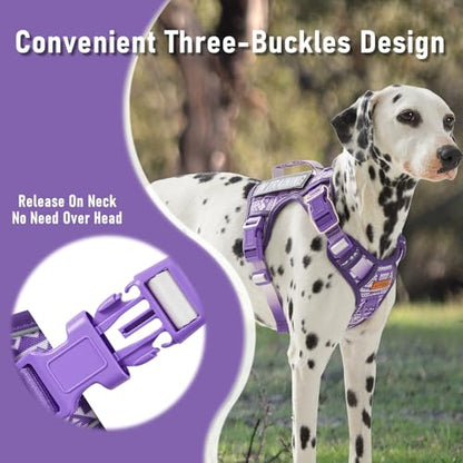 AUNZO Dog Vest Harness with 2 Patches, No Pull Dog Harness for Walking Training Hiking, Metal D-Rings Easy on/Off Neck Buckle Reflective Strips Soft Padded Handle, Purple - color: Purple Ethnic, size: Medium