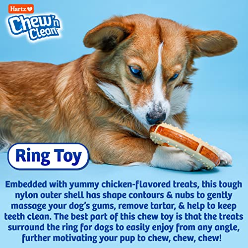 Hartz Chew ‘n Clean Chew Toy and Treat in One Chicken Flavored Ring Dog Toy, Medium - color: Ring, size: Medium (1 Count)