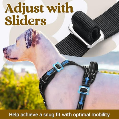 rabbitgoo Dog Harness Small Sized, No Pull Dog Vest with 3 Buckles, Adjustable Soft Padded Pet Harness with Easy Control Handle and Reflective Strips, Black, S - color: Black, size: Small