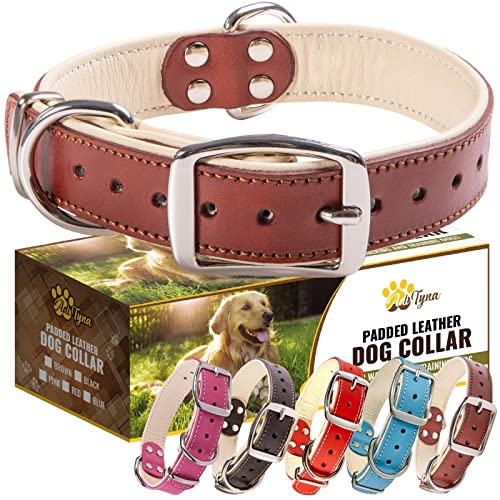 ADITYNA Heavy-Duty Leather Dog Collar for Medium Dogs - Soft Padded for Comfort - Medium Dog Collar for Walking, Training, and Hiking - color: Brown, size: Medium: Fit 13-20" Neck