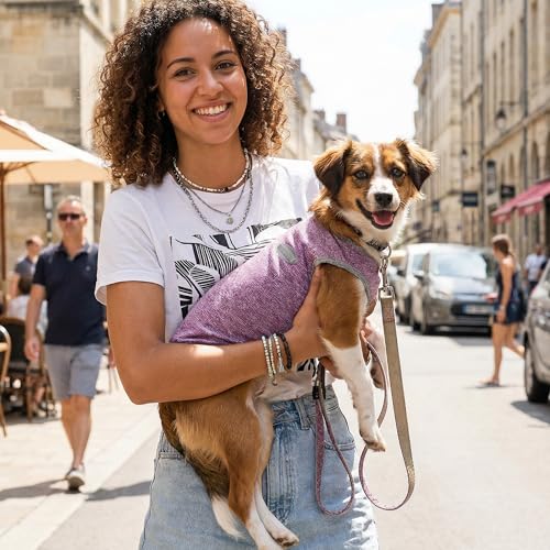 3 Pack Lightweight Sun Protection Dog Shirt Breathable Sleeveless Dog T Shirts Extra Soft Top Tank Dog Clothes for Outdoor Activities (Leather Pink + Light Blue + Light Pink, Small)