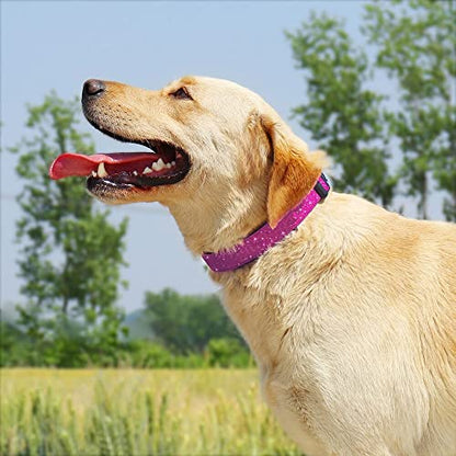 TDTOK Glittering Basic Dog Collar, Comfy & Durable Dog Collar for Small Medium Large Dogs with Eco-Friendly Plastic Buckle, Adjustable Stylish Nylon Dog Collars, Fit Necks: 9.8-22.4’’ (S, Rosy) - color: Rosy, size: S