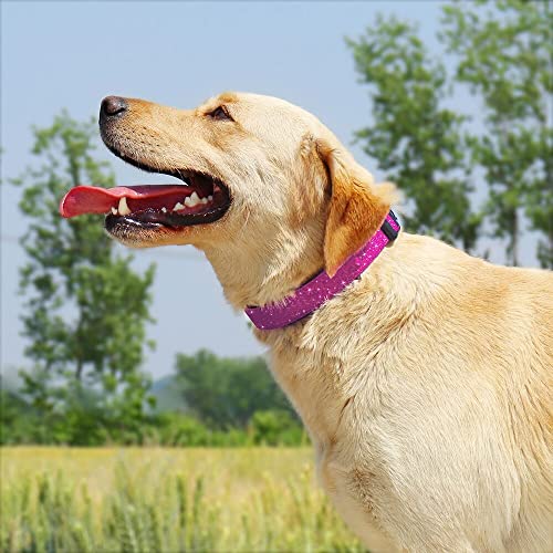 TDTOK Glittering Basic Dog Collar, Comfy & Durable Dog Collar for Small Medium Large Dogs with Eco-Friendly Plastic Buckle, Adjustable Stylish Nylon Dog Collars, Fit Necks: 9.8-22.4’’ (M, Rosy) - color: Rosy, size: M