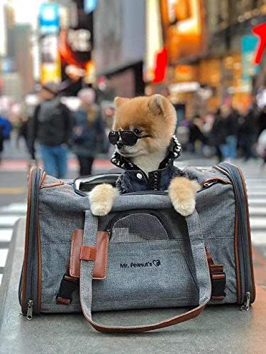 Mr. Peanut's Airline Approved Soft Sided Pet Carrier, Low Profile Gold Series Tote, Premium Brand Self Locking Zippers, Under Seat Compatibility, Plush Faux Fleece Bedding with a Sturdy Plywood Base - color: Charcoal Ash