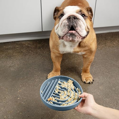 Should We Go? Slow Feeder for Dogs & Puppies, The Slowdown Bowl Silicone Slow Eating, Modern Lick Mat Design, Reduces Gulping, Fits 2 Cups, 7.5” Across x 1.5” Tall, Mealtime Challenge, Medium-Ocean - color: Ocean - Rainbow Design, size: Medium (7.5” Acros