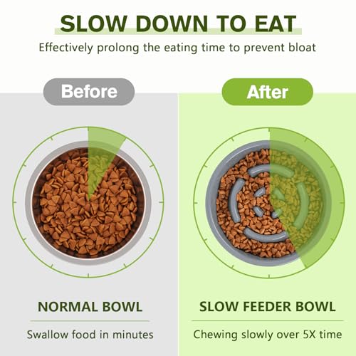 Pecute Slow Feeder Dog Bowls to Slow Down Eating, Dog Bowl Slow Feeder with No-Spill Non-Skid Silicone Mat, Food-Grade Safe Dog Food Bowls Slow Feeder, Stainless Steel Dog Water Bowl for Dogs Cats - size: Large-2 Cup/17 oz each