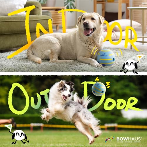 BOWHAUS Giggle Ball for Dogs, 5.5 Inch Interactive Dog Exercise Toys, Indestructible Fun Squeaky Chew Toy, Non-Toxic Durable PVC Chew Ball for Indoor Outdoor Play - style: Giggle Ball - Classic Style