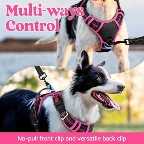 rabbitgoo Dog Harness Medium Sized, No Pull Dog Vest with 3 Buckles, Adjustable Soft Padded Pet Harness with Easy Control Handle and Reflective Strips, Black & Rose Pink, M - color: Black & Rose Pink, size: Medium