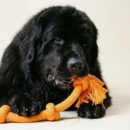 Playology Dog Toys | Dri-Tech Rope Tug of War Dog Toy for Tough Chewers | Cheddar Cheese Scented Mega Size Tug Rope Toys for Extra Large Dogs - size: Mega, style: Cheddar Cheese