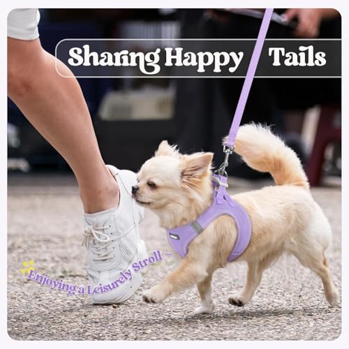 rabbitgoo Dog Harness Medium Sized and Leash Set, Step in Soft Light Puppy Vest, Breathable Mesh Pet Harness, Reflective for Safe Easy Walking, Light Purple XXL - color: Light Purple, size: Xxl (chest: 21.6 - 23.7")