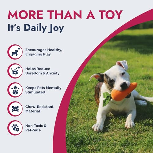 PETLOU 8 Inch Carrot Plush Dog Toy for Soft Chewers – Durable Squeaky & Crinkle, Anti Boredom Chew Toy for Dogs, Cute Soft Stuffed Calming Indoor Pet Toy for All Dog Breeds