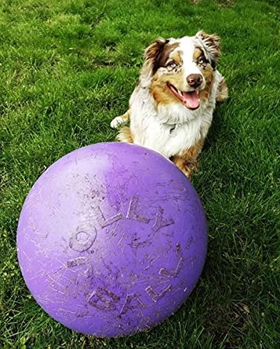 Jolly Pets Push-n-Play Ball Dog Toy, 14 Inches/Extra-Large, Purple,All Breed Sizes - color: Purple, size: 14 Inches/ Extra-Large