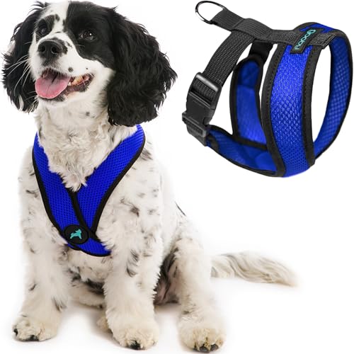 Gooby Comfort X Head In Harness - Blue, Medium - No Pull Small Dog Harness, Patented Choke-Free X Frame - Perfect on the Go Dog Harness for Medium Dogs No Pull or Small Dogs for Indoor and Outdoor Use - color: Blue, size: Medium Chest (14.25-18.75")