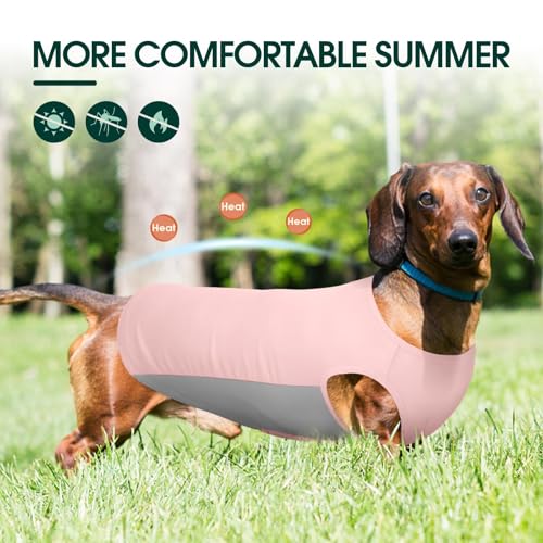 Kuoser Dog Cooling Shirt, Sun Protection Puppy T-Shirts, Quick Dry Dog Summer Clothes for Small Dogs Boy Girl Pink XS - color: Pink, size: Xs