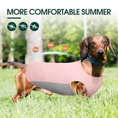 Kuoser Cooling Dog Shirt, Sun Protection Puppy T-Shirts Breathable Pet Summer Vest, Quick Dry Dog Summer Clothes for Large Dogs Boy Girl Pink XXL - color: Pink, size: Xxl