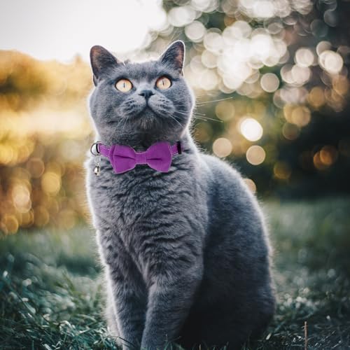 2 Pcs Kitten Collar with Bell Cute Cat Collar for Girl Cats Breakaway Bowtie Cat Collars Adjustable Small Puppy Safety Collar Solid Color Plaid Pet Collar (Purple) - color: purple