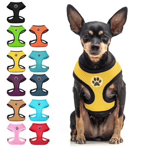 BINGPET Small Dog Harness, No Pull Dog Harness Small Sized Dogs, Soft Light Breathable Mesh Puppy Vest with Safety Buckle-Adjustable Step in Pet Harnesses for Easy Walking, Running, Training - color: Yellow, size: S (NECK: 12", CHEST: 14"-18")