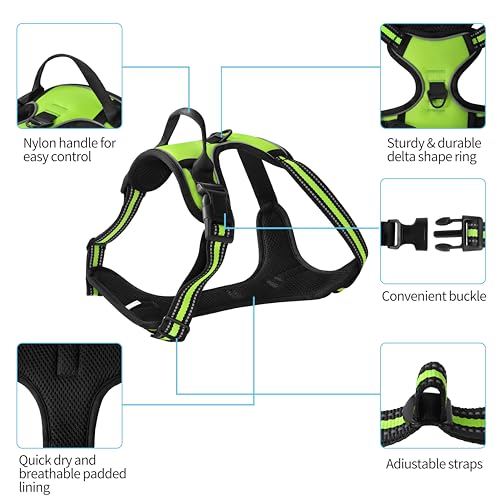 Green No-Pull Dog Harness with 2 Leash Clips，Soft Padded Vest for Small Dog, Adjustable Reflective Dog Vest Easy to Put on and Take Off,(Neck: 13"~17", Chest: 17"~21",Green Small) - color: Green, size: Small