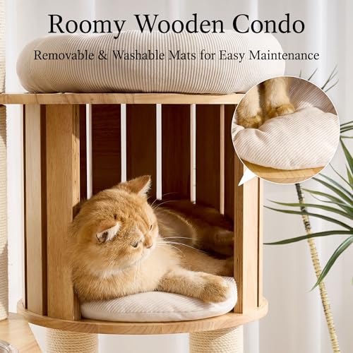 797Audio Wood Modern Cat Tree, 61.5" Tall Cat Tower with Sisal Scratching Posts, Cat Condo, Capsule and Ladder, Solid Wooden Aesthetic Multi-Level Cat Climbing Tree for Large Adult Indoor Cats - color: 62 Inch
