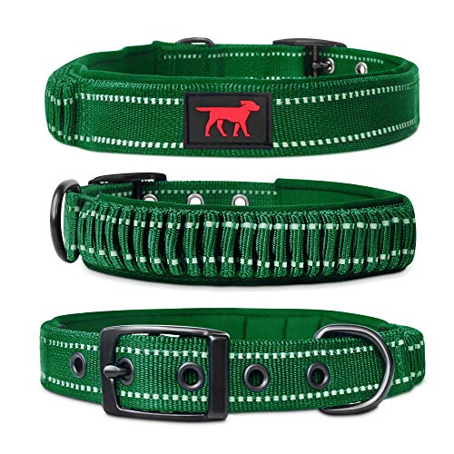 Tuff Pupper Heavy Duty Dog Collar with Handle | Ballistic Nylon Heavy Duty Collar | Padded Reflective Dog Collar with Adjustable Stainless Steel Hardware | Convenient Sizing for All Breeds - color: Forest Green, size: Small (11 - 14" Neck)